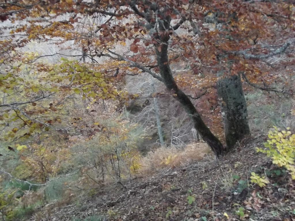 מלון גוארדו Montana Palentina מראה חיצוני תמונה